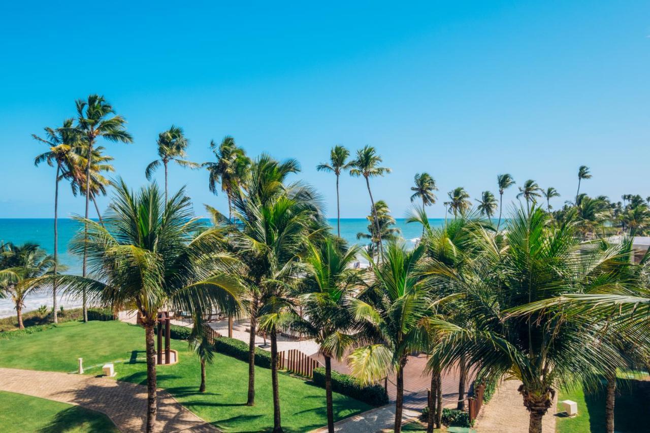 ホテル Iberostar Waves Bahia プライア・ド・フォルテ エクステリア 写真 Palm trees in Fortaleza