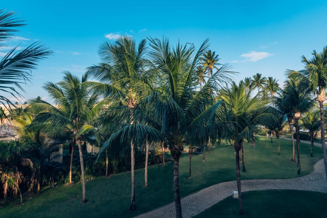 ホテル Iberostar Waves Bahia プライア・ド・フォルテ エクステリア 写真 Palm trees at the Four Seasons Resort